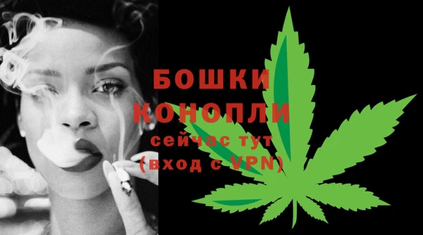первитин Новодвинск