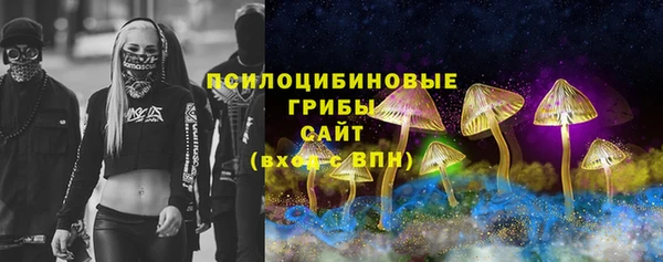 первитин Новодвинск